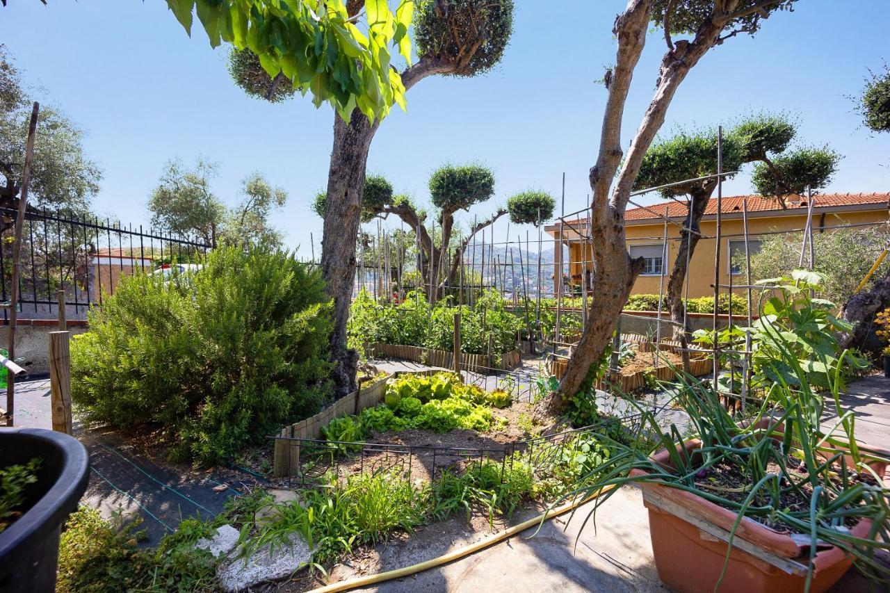 Apartmán Ca Dei Tati - Citra 1181 Imperia Exteriér fotografie